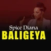 Spice Diana